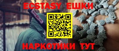 стаф Сланцы